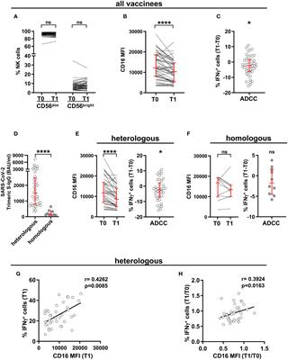 Impact of SARS-CoV-2 vaccination on FcγRIIIA/CD16 dynamics in Natural Killer cells: relevance for antibody-dependent functions